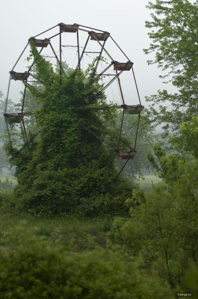Roda gigante abandonada e tomada pela vegetação